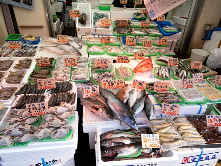 マグロの旬の時期とは?種類や産地ごとに解説!